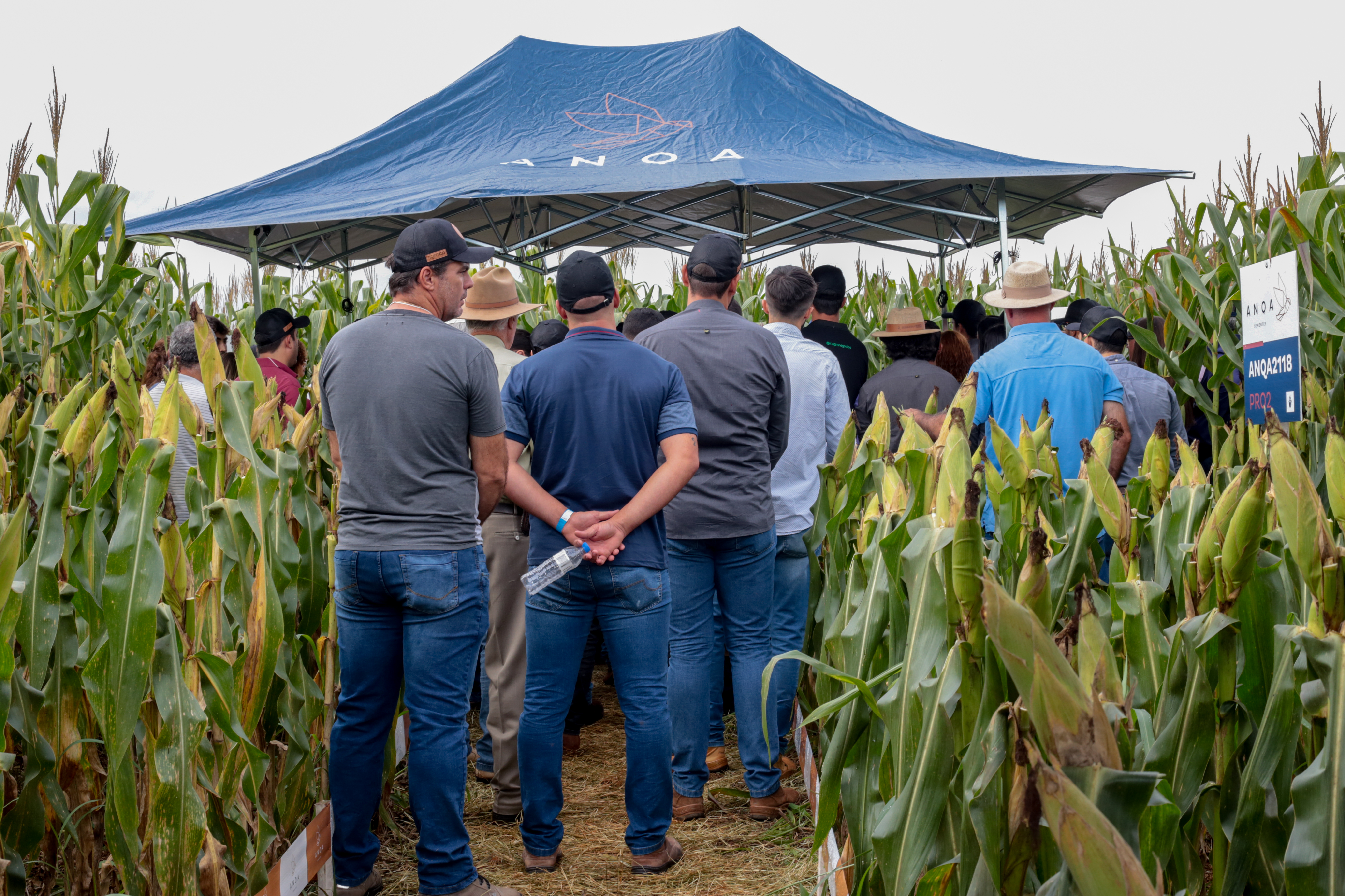 2° Dia de Campo - Foto 40